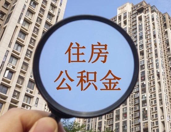 高密退休后查不到公积金明细了吗（退休后公积金查询不到原因）